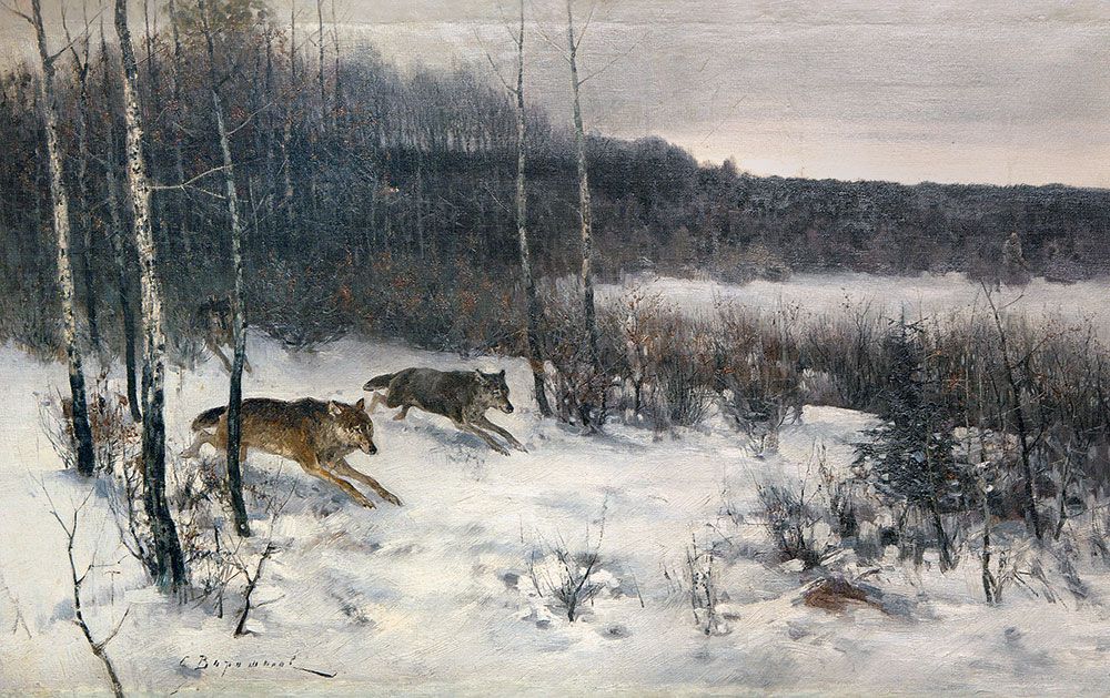 Wolf hunting.