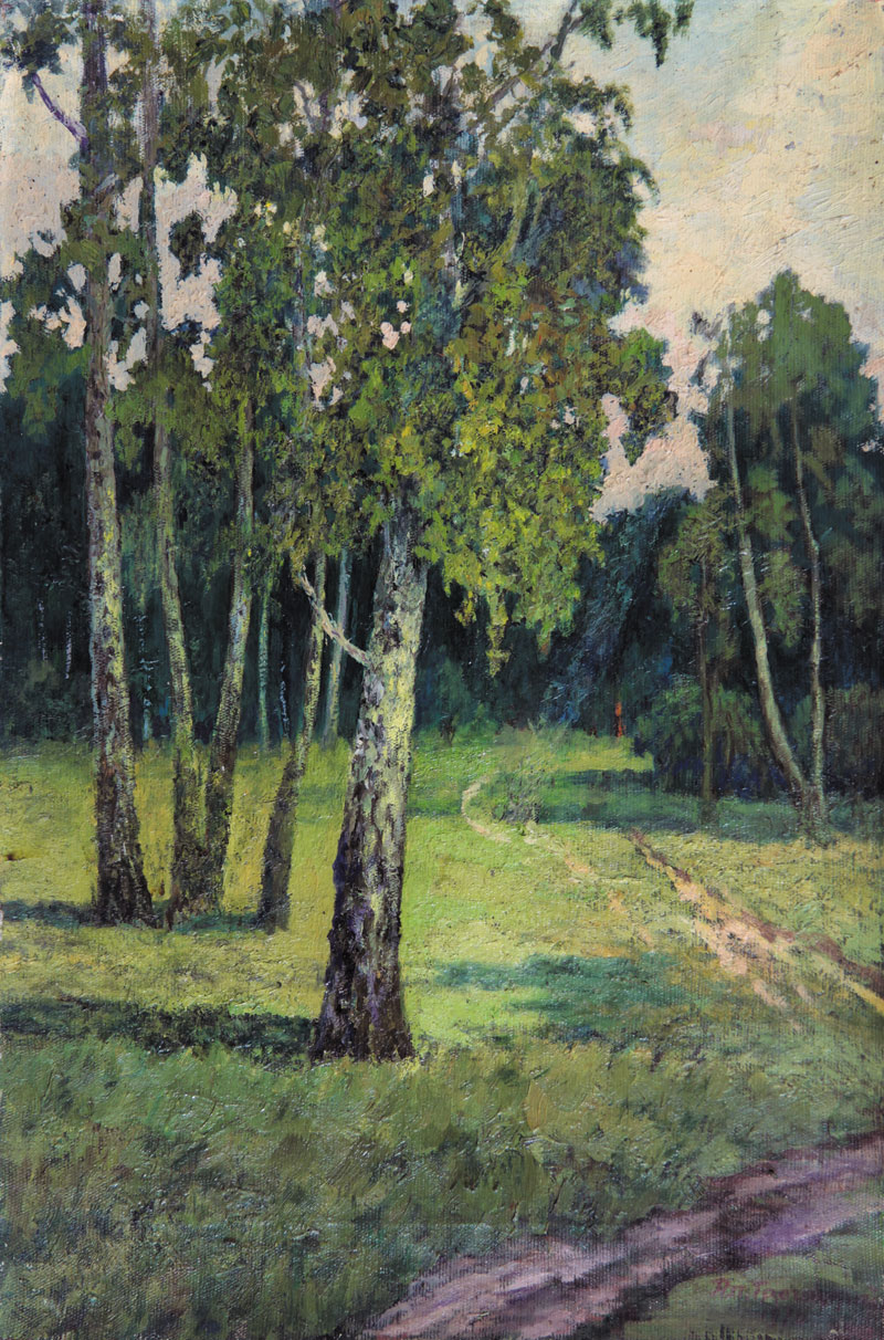 Forest landscape.