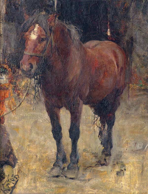 Bay horse.