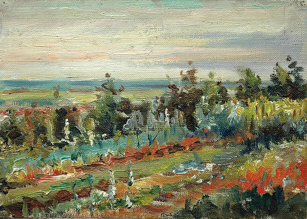 Огород.