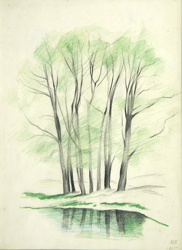 Картина Дейнеко О.К. Пруд. 1925 г. бумага, цветной карандаш.