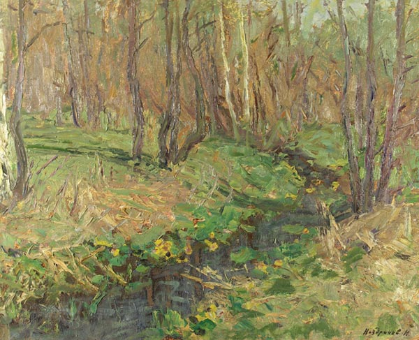 In the forest in spring.