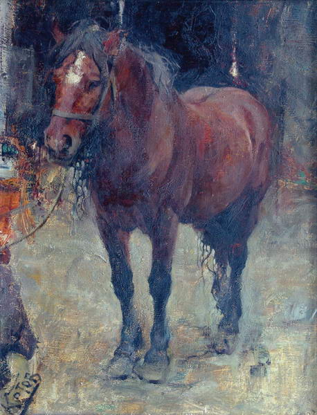 Bay horse.