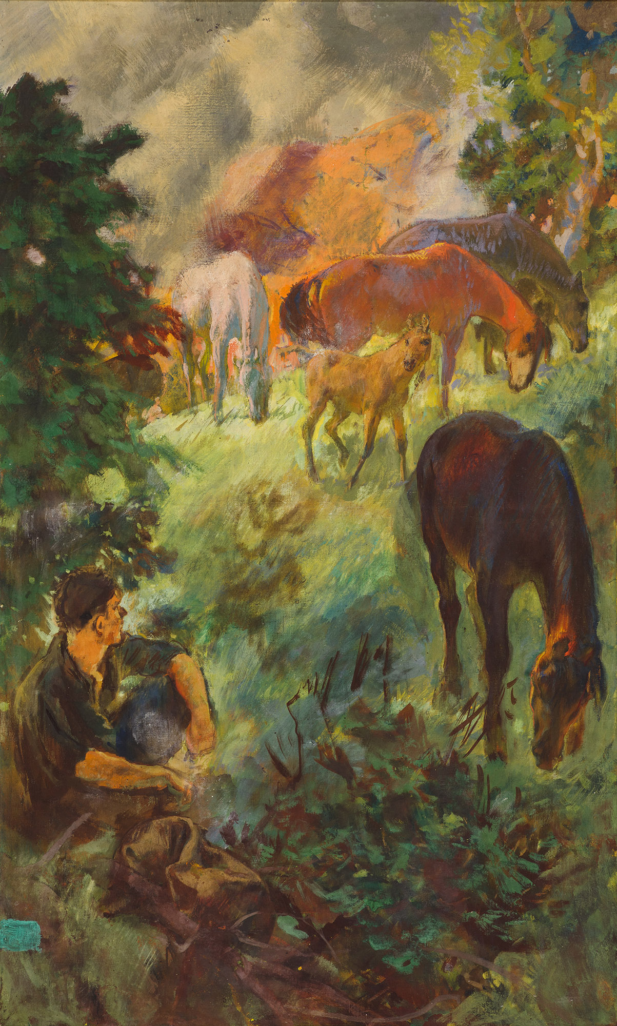 Caucasus. Horses at night.