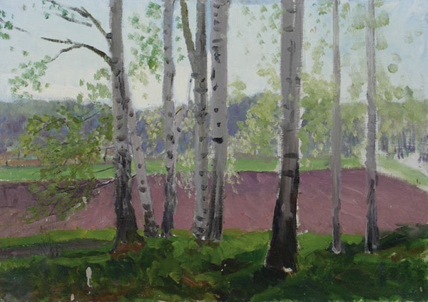 Картина Шурпин Ф.С. Березы.  Холст на картоне, масло.