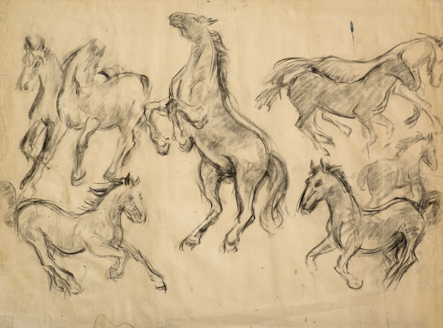 Картина Поляков В.И. Эскизы лошадей. 1970 г.  Бумага, уголь.