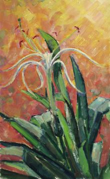 Gladioli.