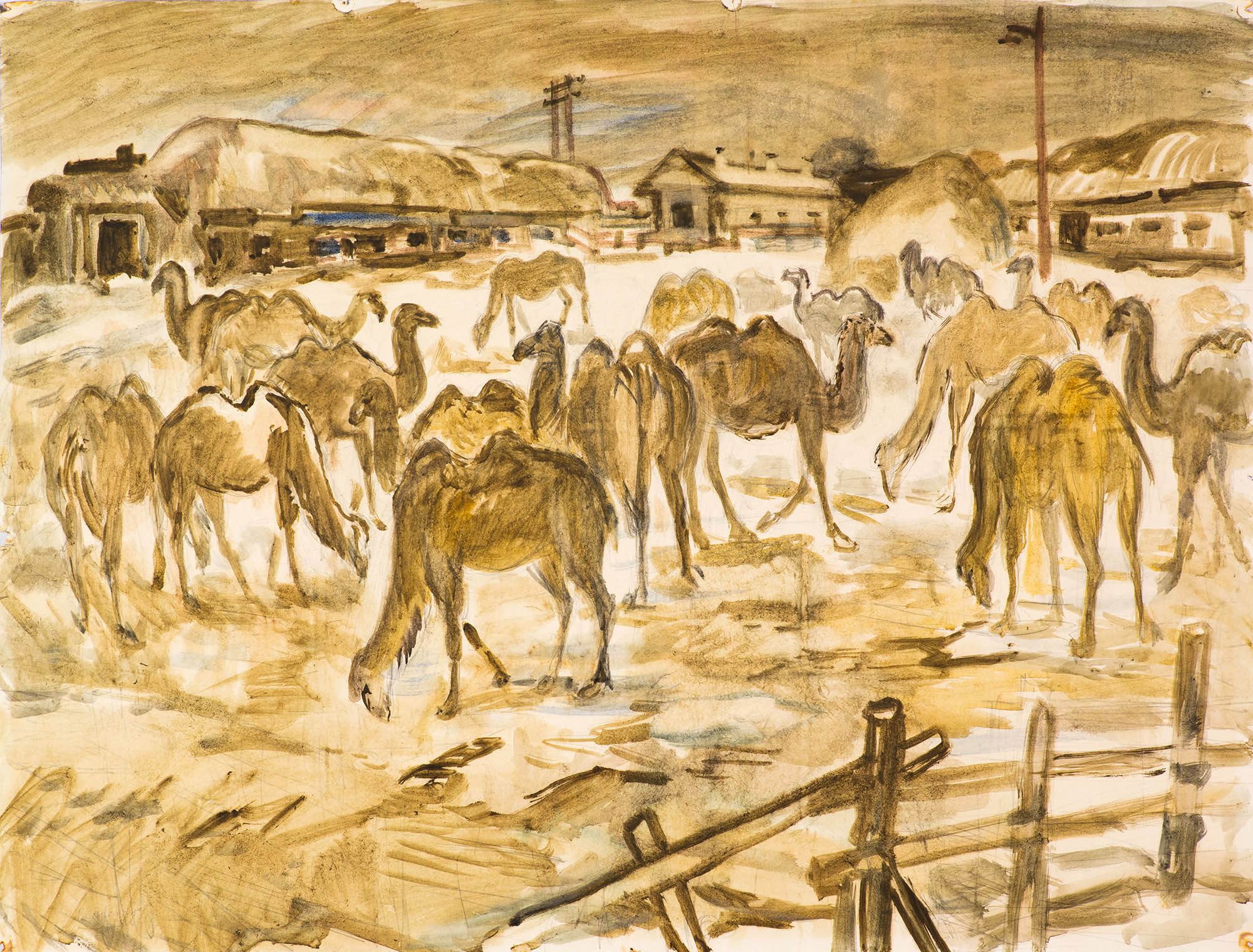 Картина Месропян Б.А. Верблюды в зоопарке. 1986 г. Бумага, акварель.