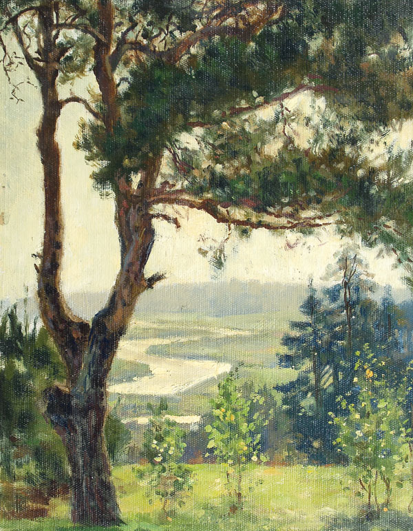 Pine on Savkina Mountain.