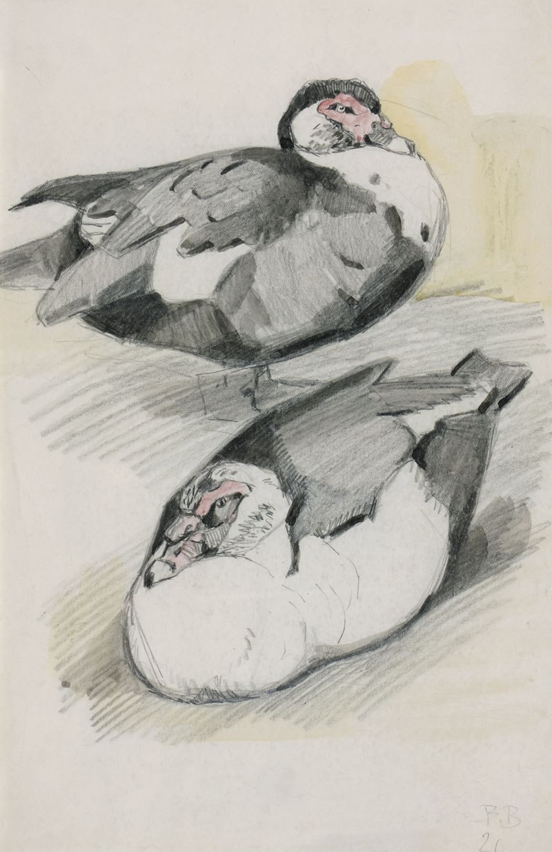Картина Ватагин В.А. Эскиз двух уток. 1921 г. Бумага, акварель, карандаш.