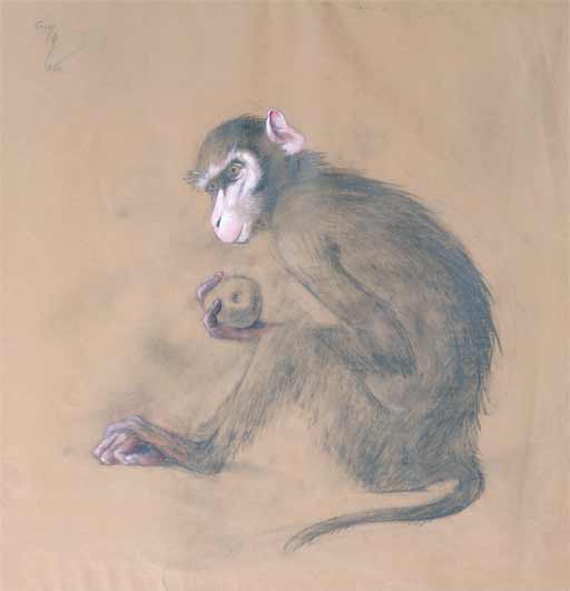 Картина Шендеров А.С. Мартышка с яблоком. 1952 г. Бумага, карандаш, акварель, белила.