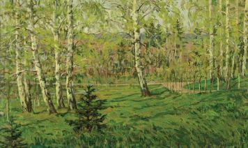 Birch grove.