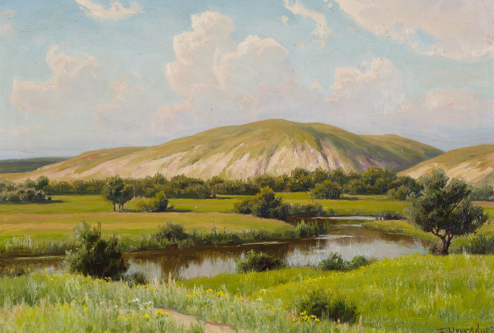 Река Чир у станицы Каргинская.