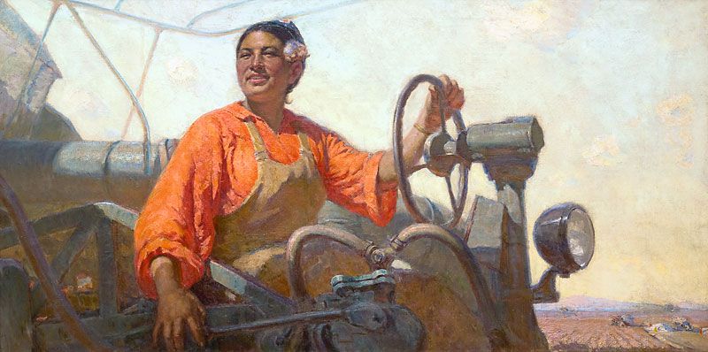 Cotton harvesting by machines.