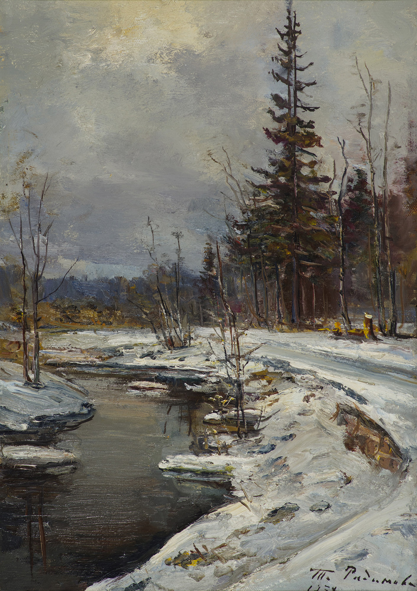 Winter on the Vorya River.