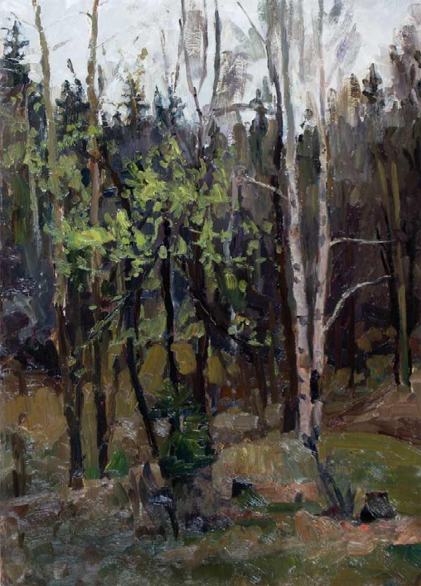 Картина Демидов В.И. Весна в лесу. Черемуха.  Картон, масло.