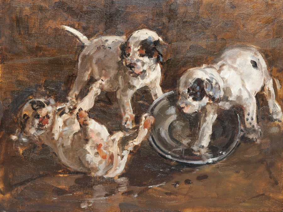 Щенки.