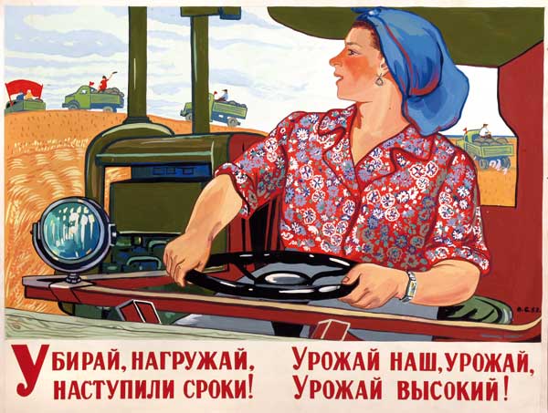 Картина Савостюк О.М. Убирай, нагружай, наступили сроки! 1953 г. Бумага, гуашь.