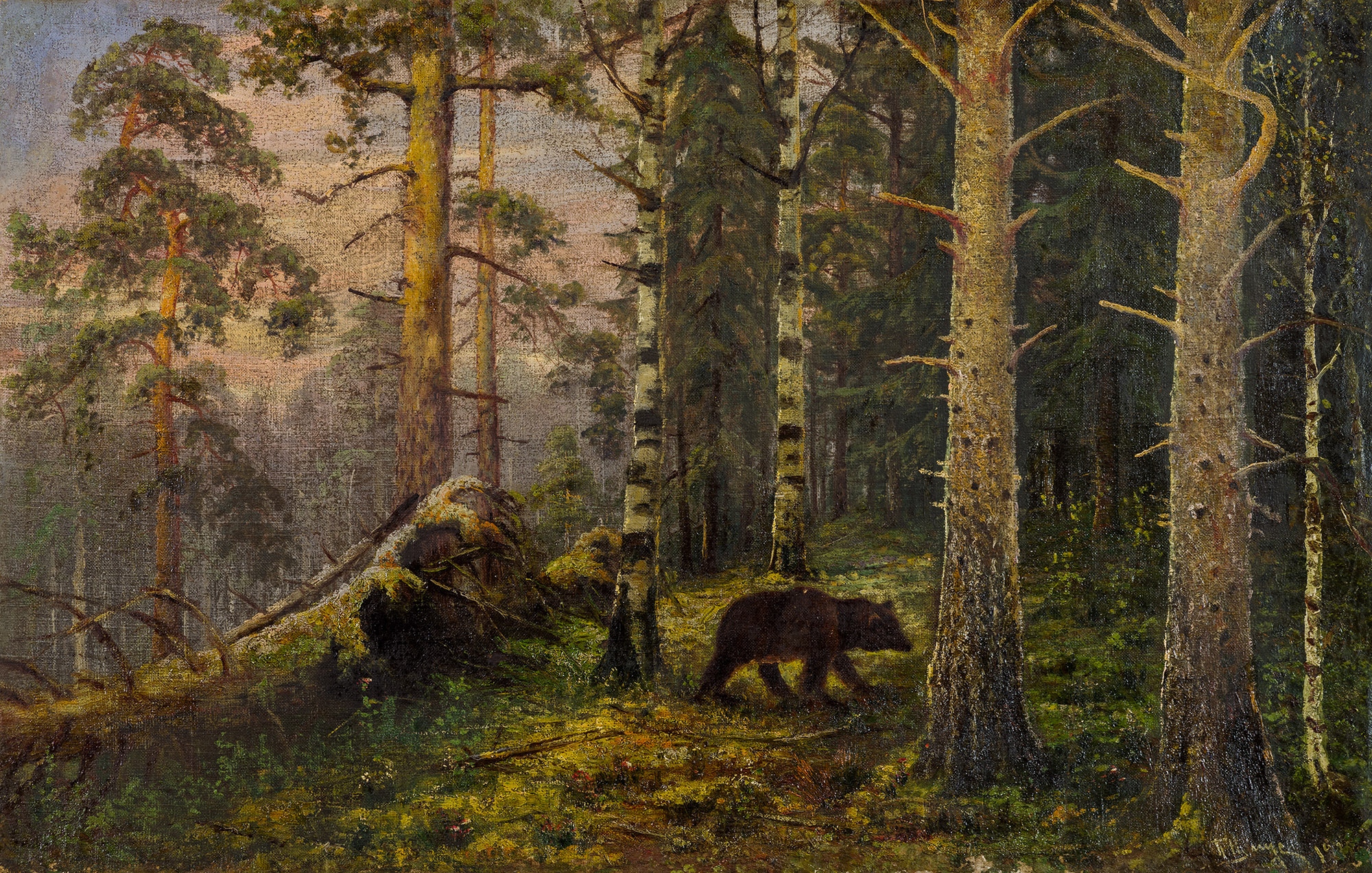 Картина Цигус П. Медведи в лесу. 1910-е гг. Холст, масло.