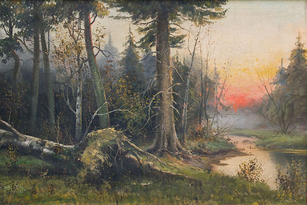 Forest landscape.