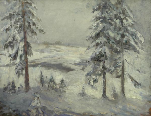Зимний пейзаж с елками.