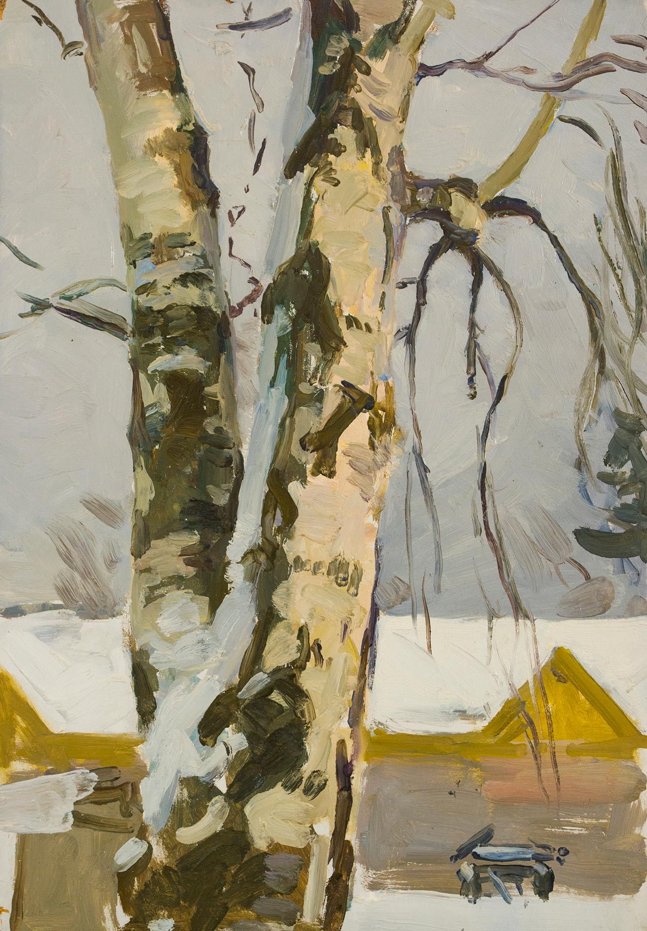 Birch against the sky.