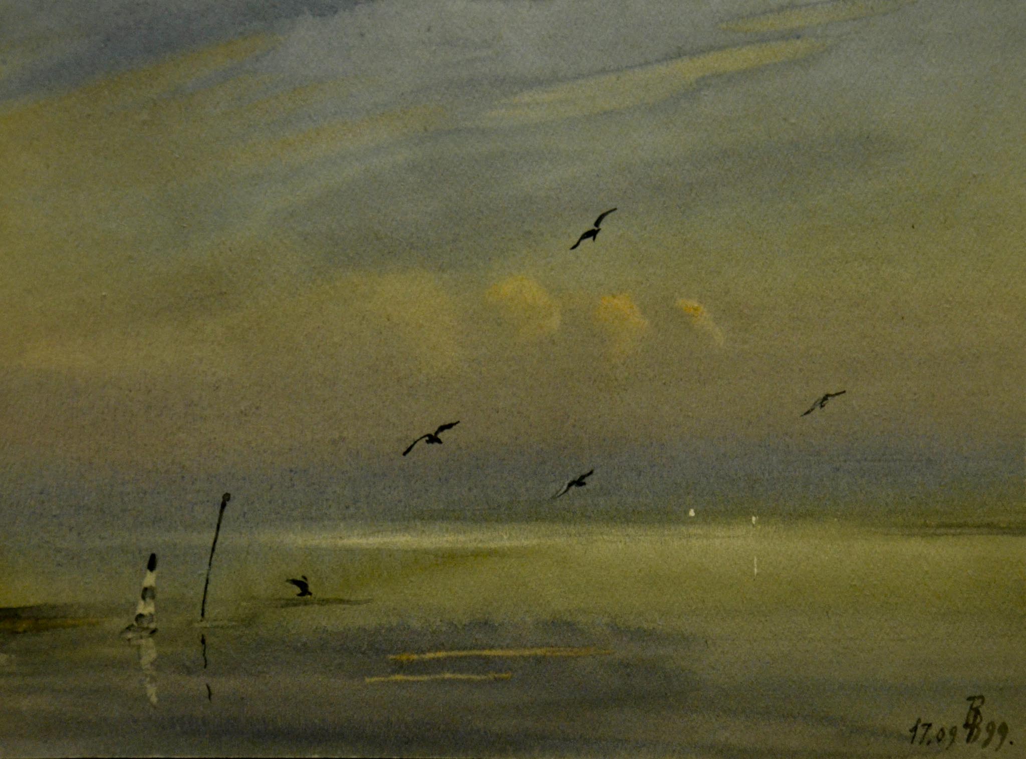 Seagulls over the bay.