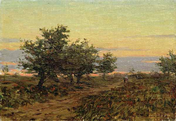 Evening in the steppe. Kamenny Yar.