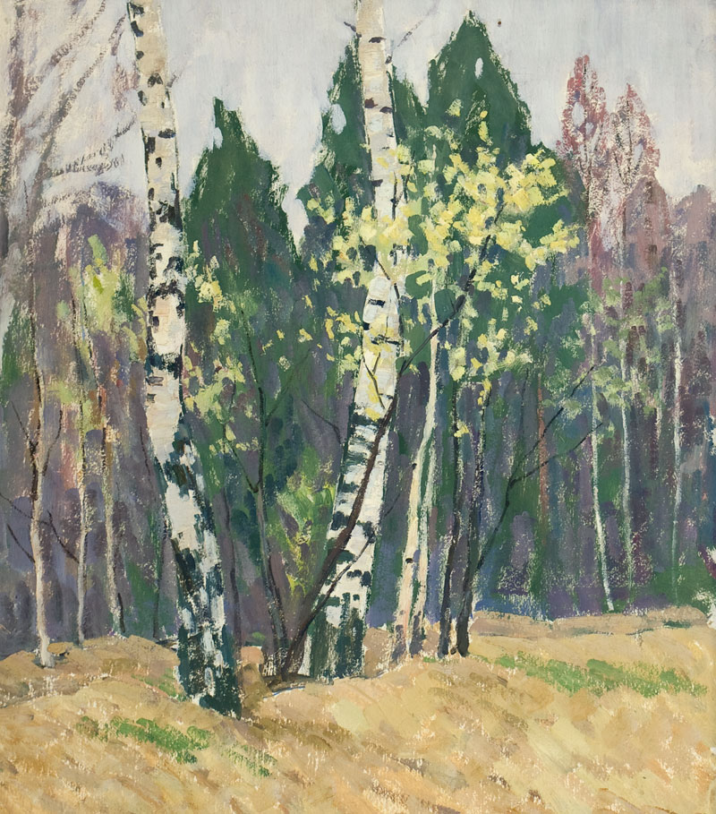 Birches.