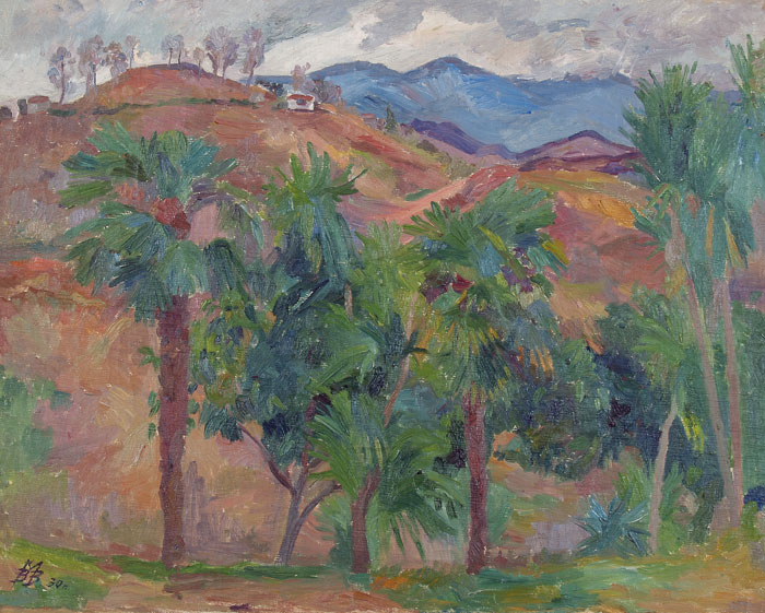 Palm grove.