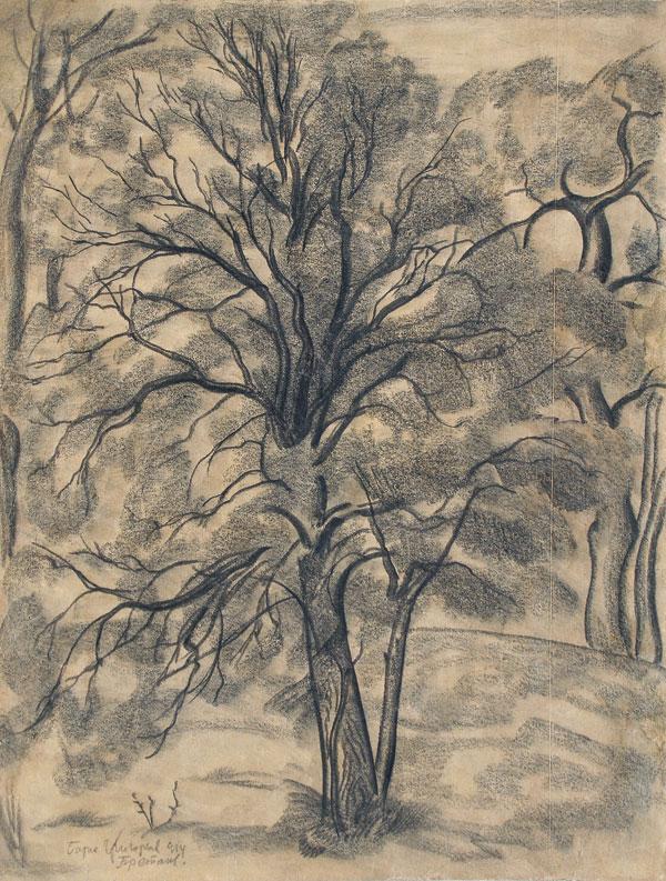 Tree. Brittany.