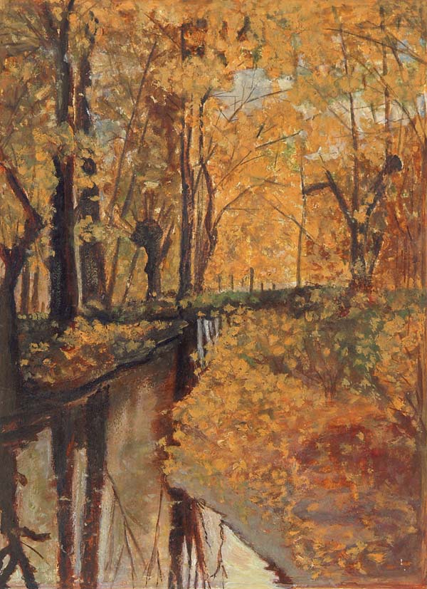 Forest river.