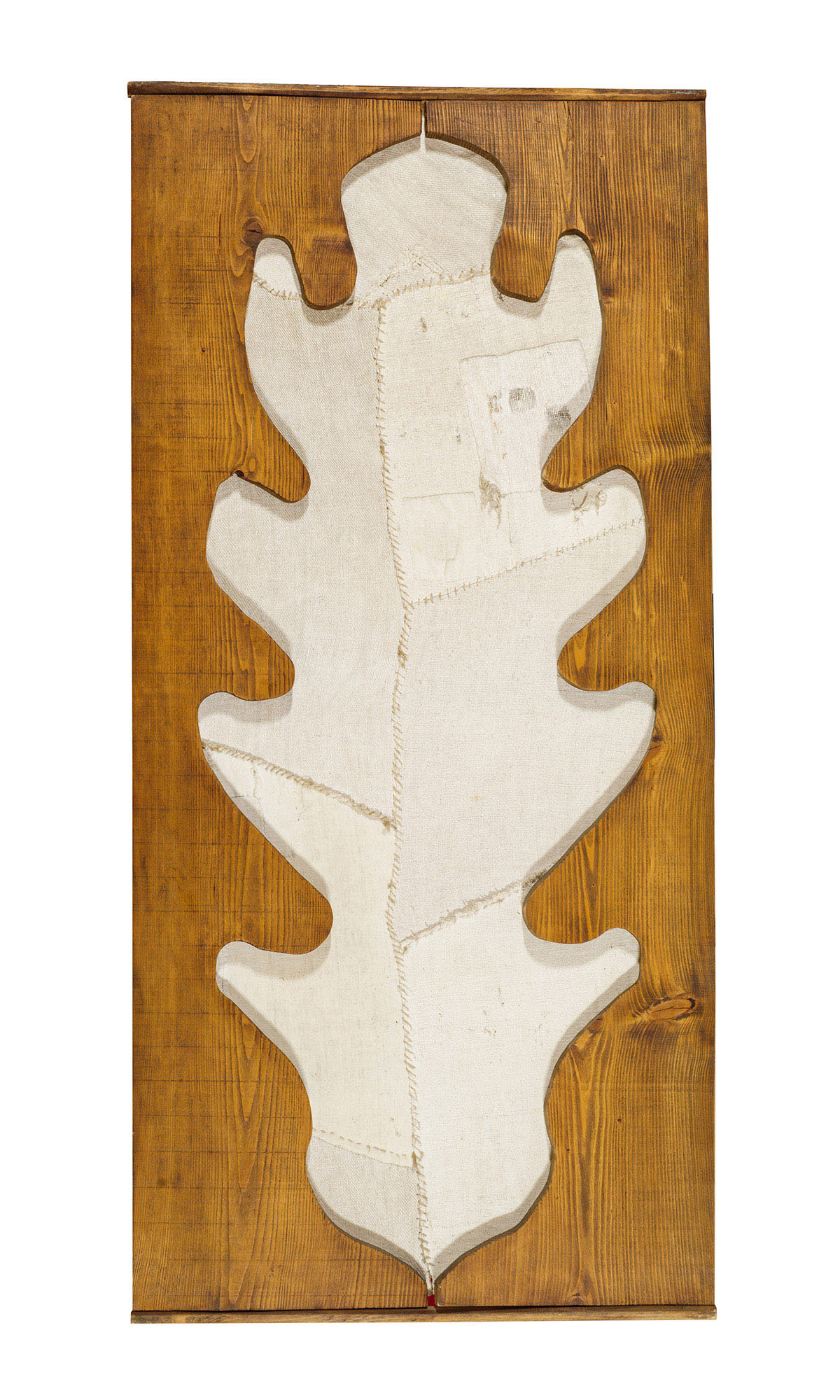 Oak leaf.