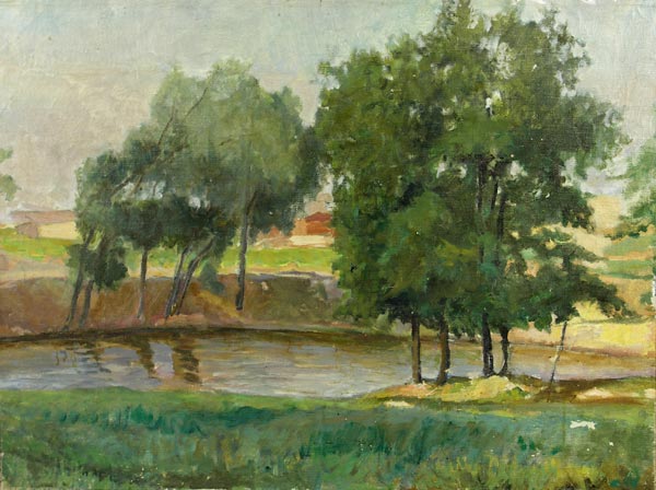 Landscape with a pond.