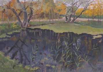 Overgrown pond.