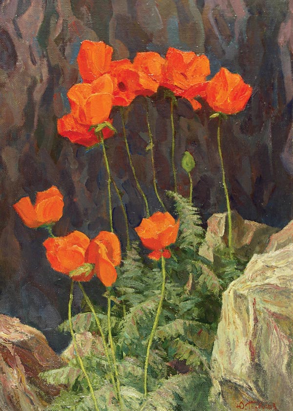 Mountain poppies.